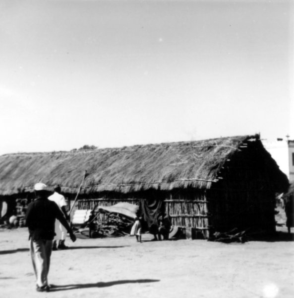 morelli24.jpg